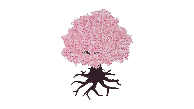 giant (hollow) cherry tree