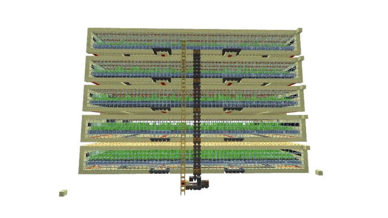 Sugarcane Farm
