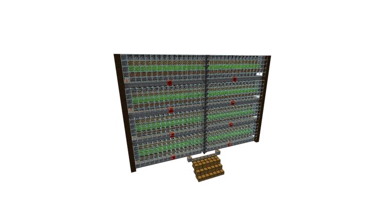 Sugar Cane Farm